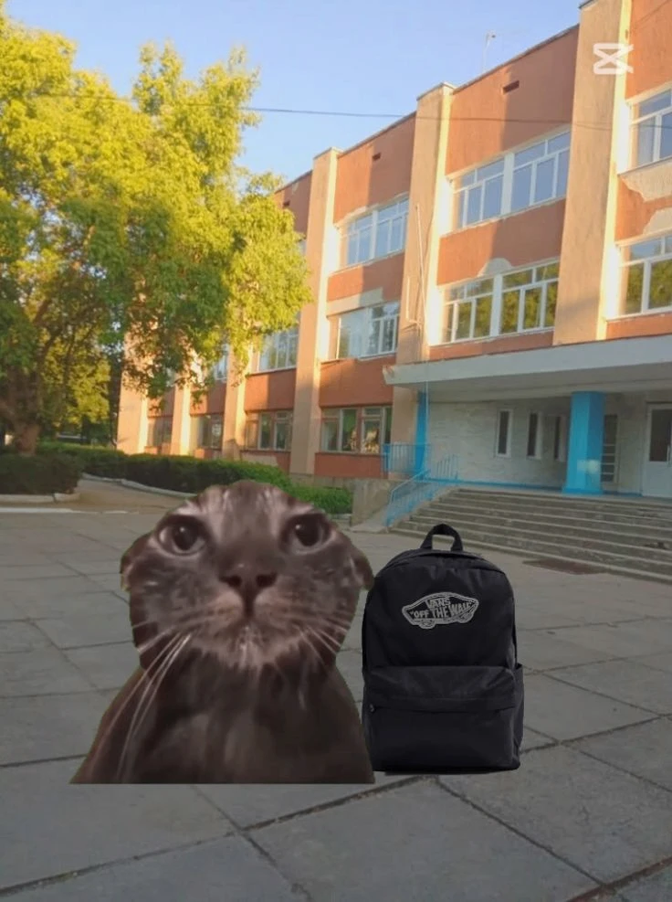 Мемные обои со школой 😁
