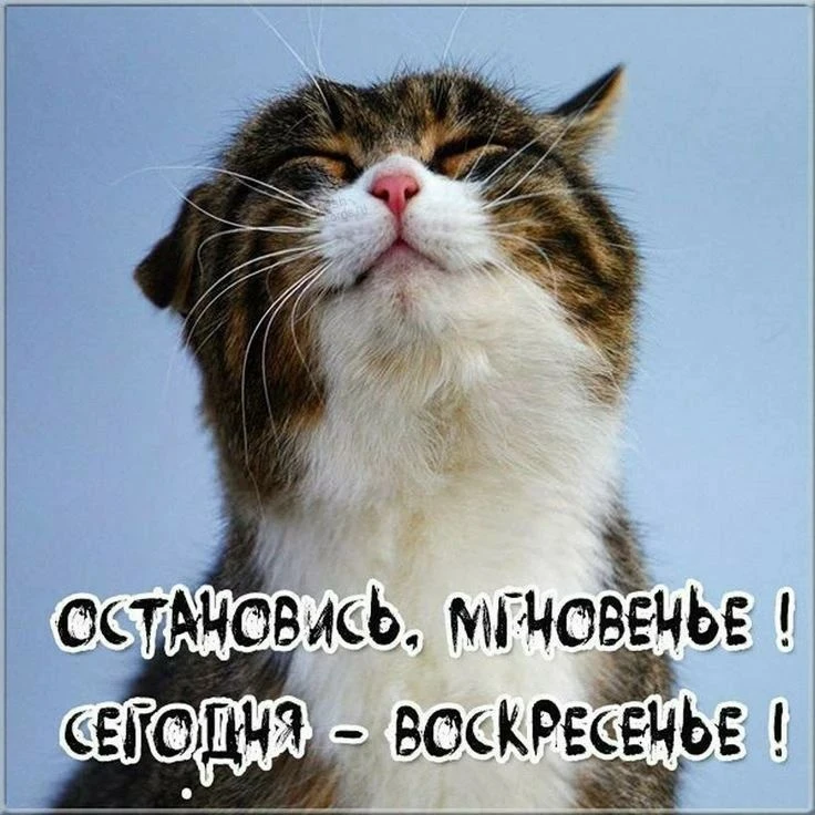 С добрым утром! 🤗☕️😘