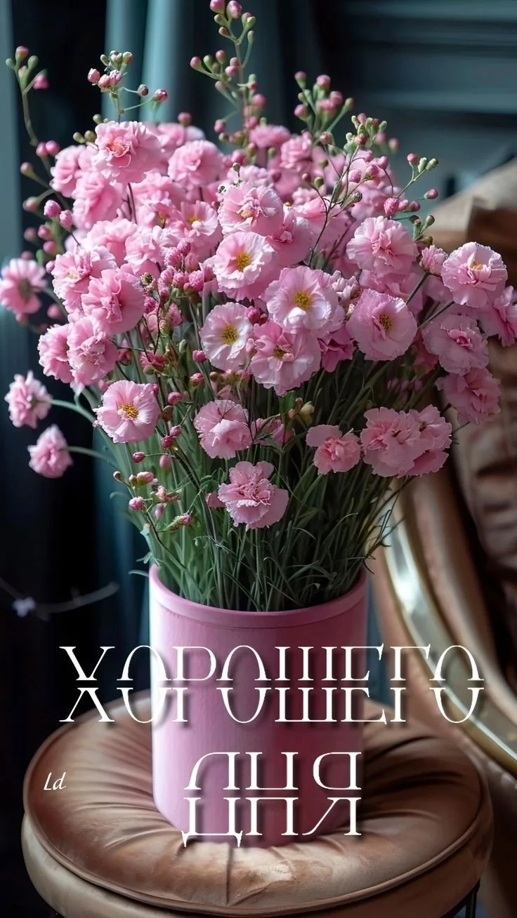 Подпишись 👇
