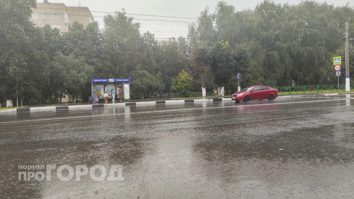 Новочебоксарск накроет дождем. Завтра, 24 августа, в городе будет пасмурно и сыро. Темп...