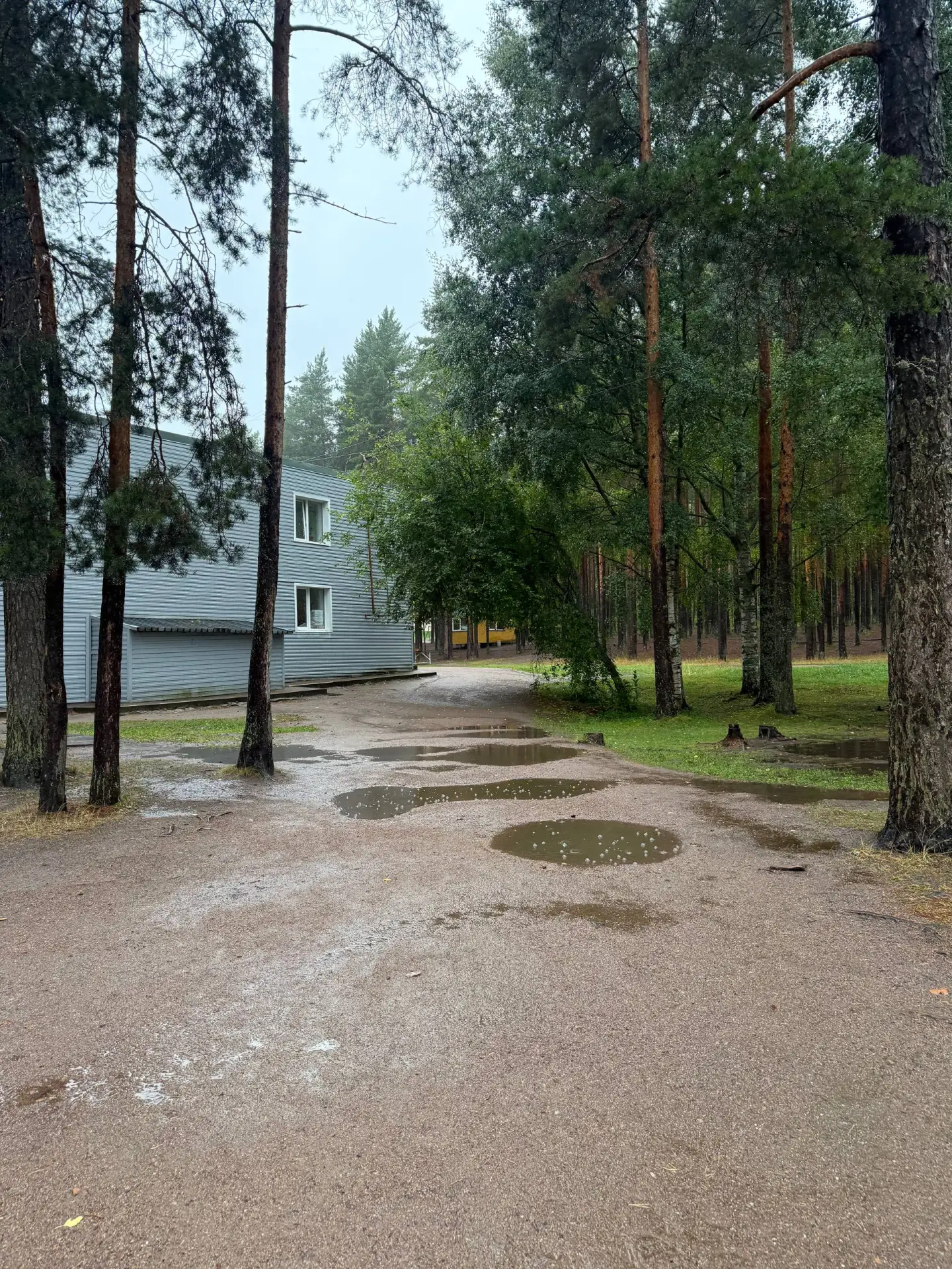 Сегодня в Элиборе дождливая погода, но мы не унываем, ведь жителей уже ждут мастерские ...