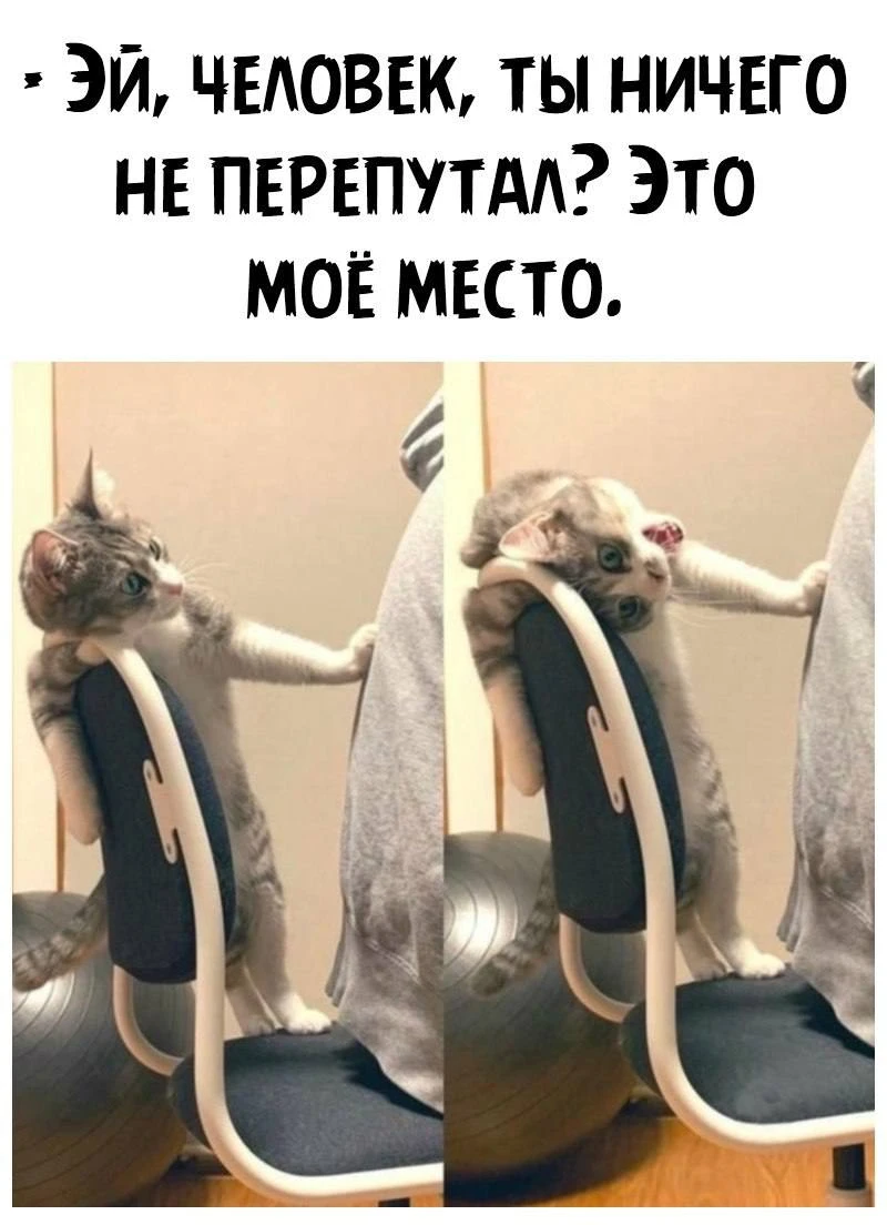 Веснушка Юмор