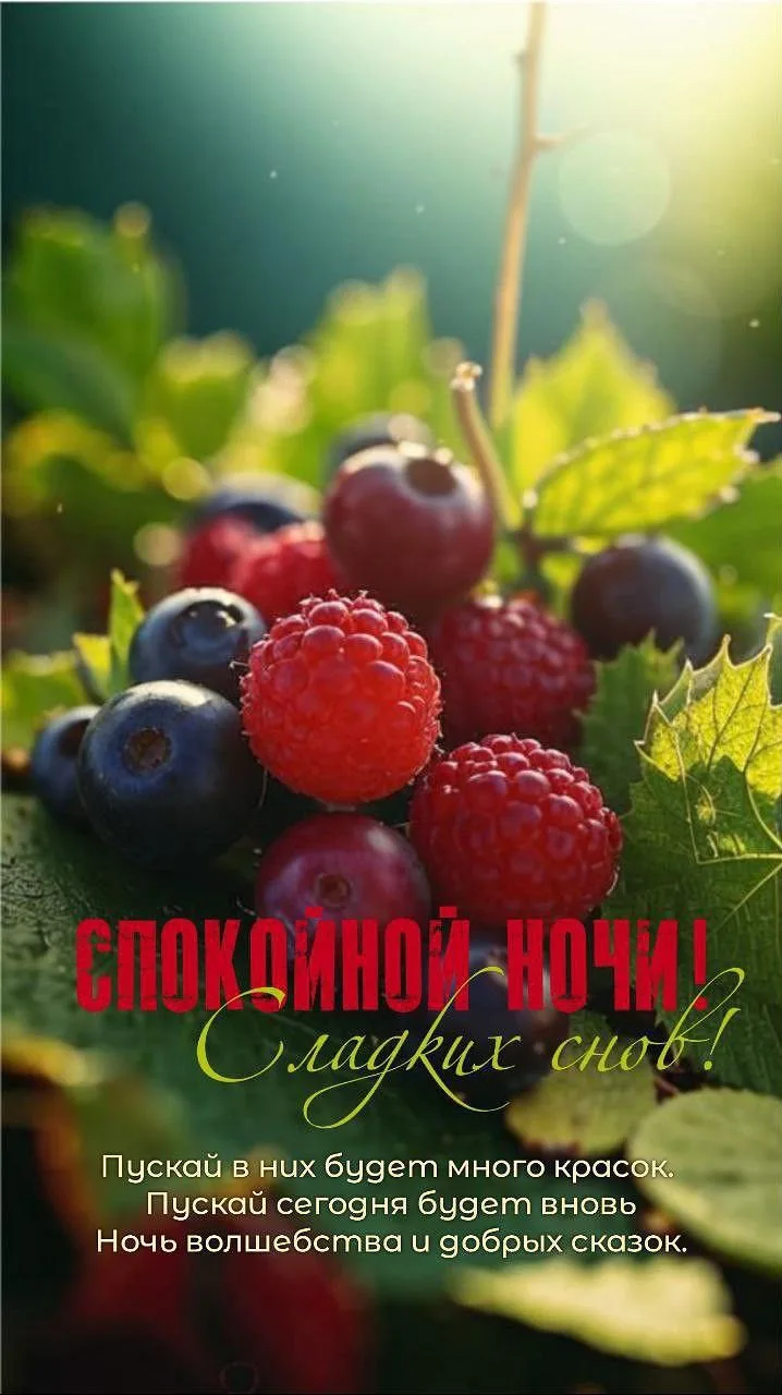 #ночь
Картинки на каждый день