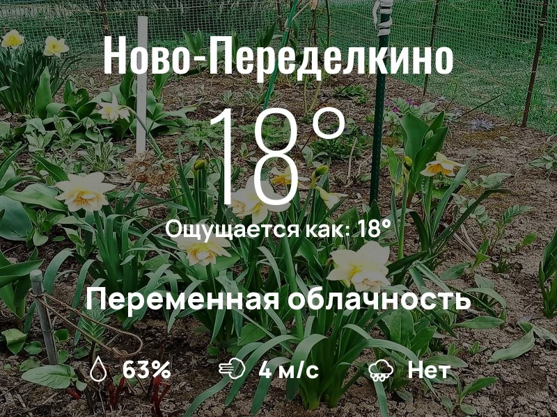 Что с погодой в Ново-Переделкино?

Одевайтесь по погоде, берегите себя!
Яркого дня, соседи!

#погода