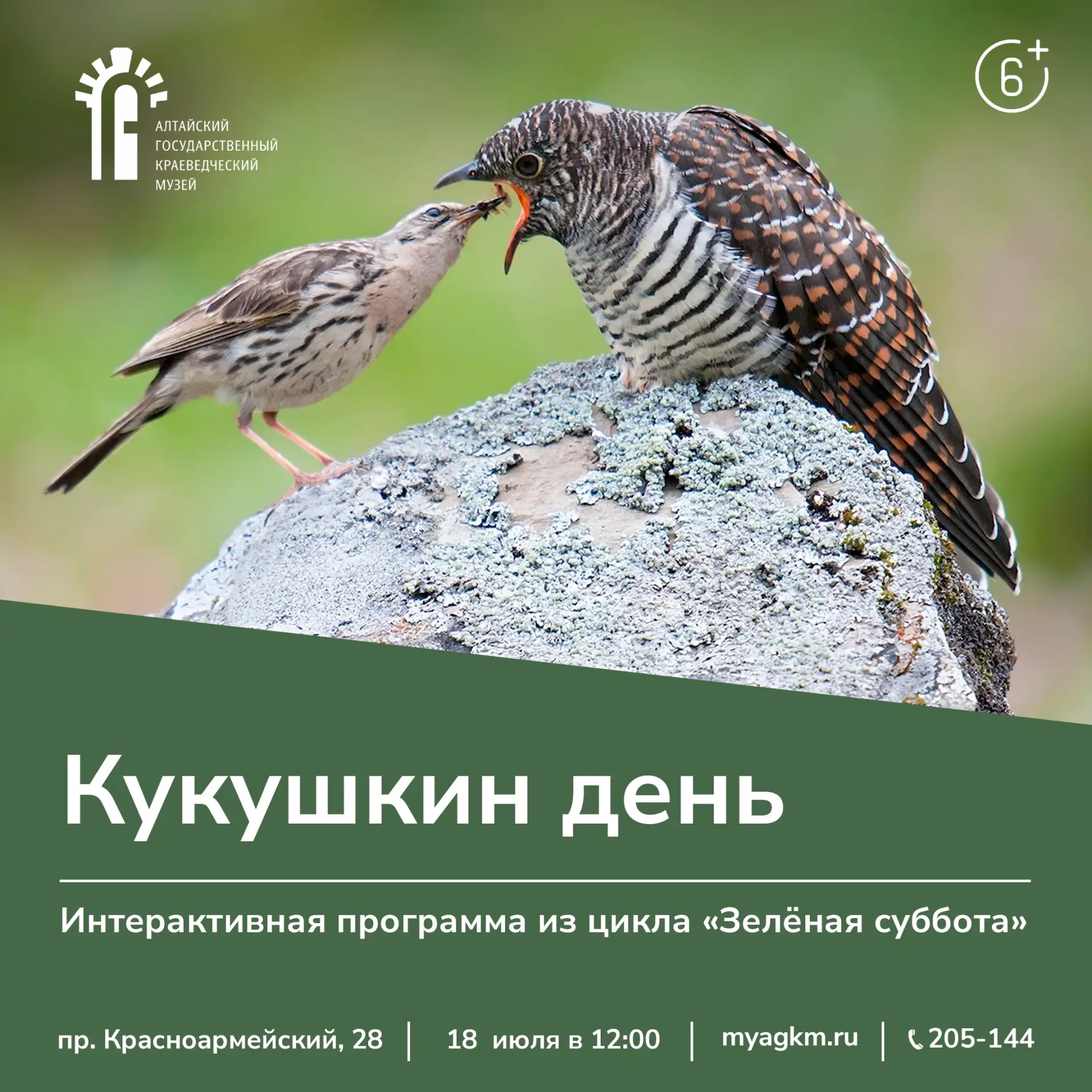 🤔 А вы знаете, почему кукушку называют «плохой мамой»?

18 июля в 12:00 приглашаем юных посетителей