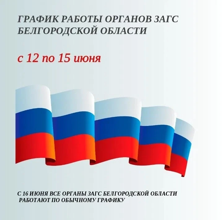 #загс31 #графикработы