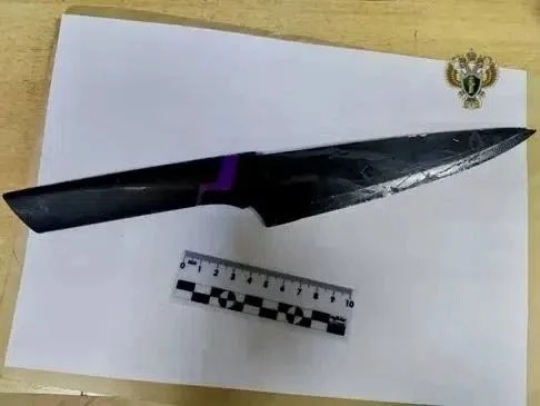 🚓 Житель Ставрополья предстанет перед судом за убийство и поджог