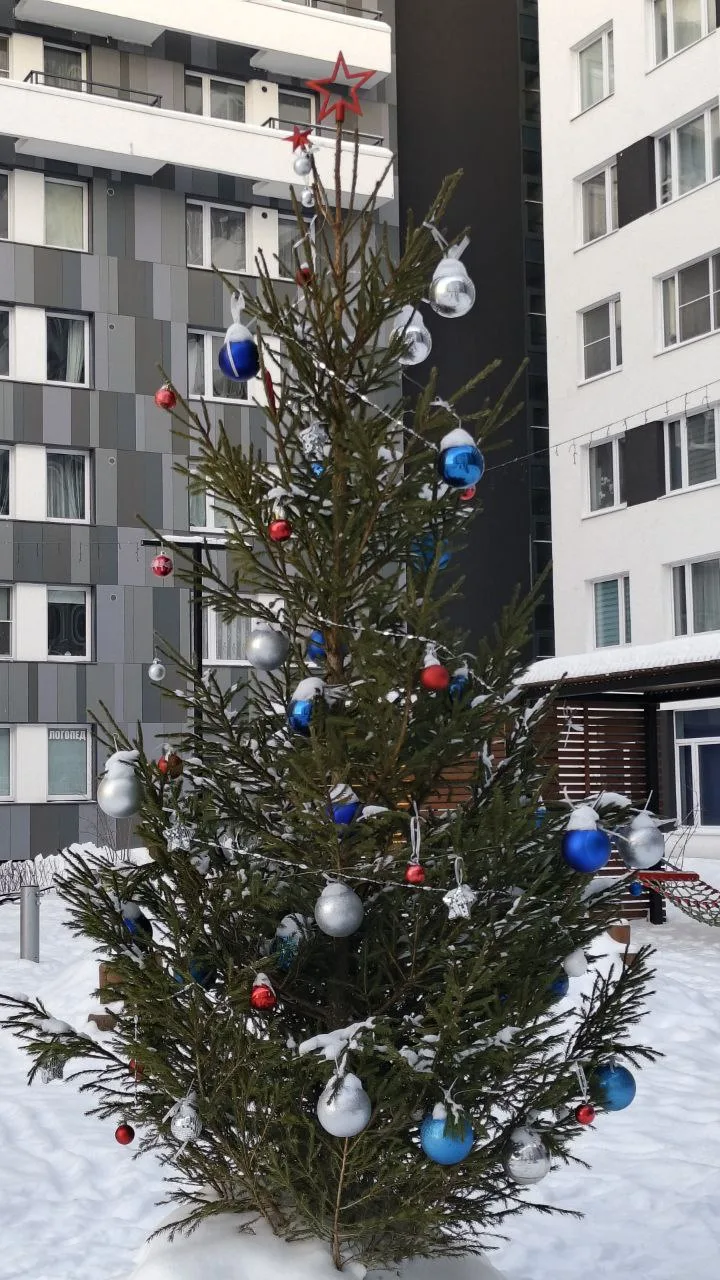 Ура! Мы подвели итоги конкурса «Самая красивая ель-2026»! 🎄  Каждая елочка, наряженная руками жителе