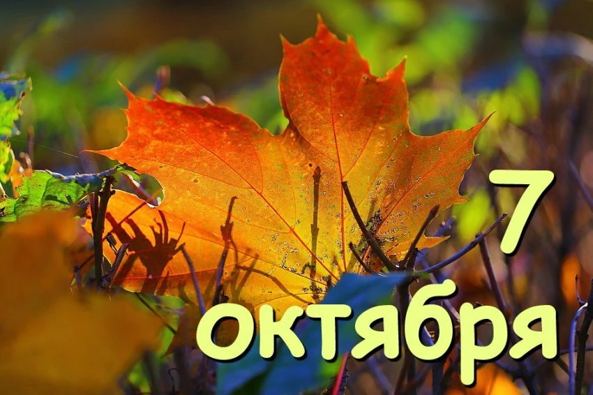 Доброе утро! Желаем начать день с улыбки! Пусть новый день принесет море новых идей и о...