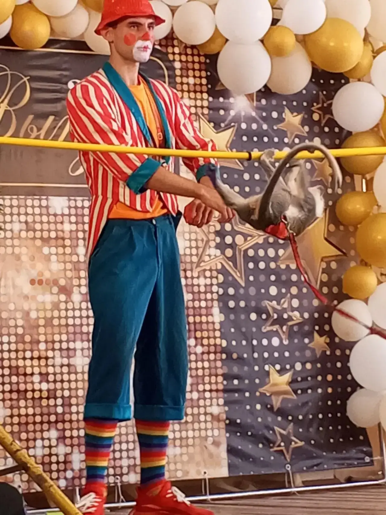 : 🎪 Алле-оп!

Сегодня в нашем детском саду случилось настоящее чудо — мы ходили  в гости в самый на