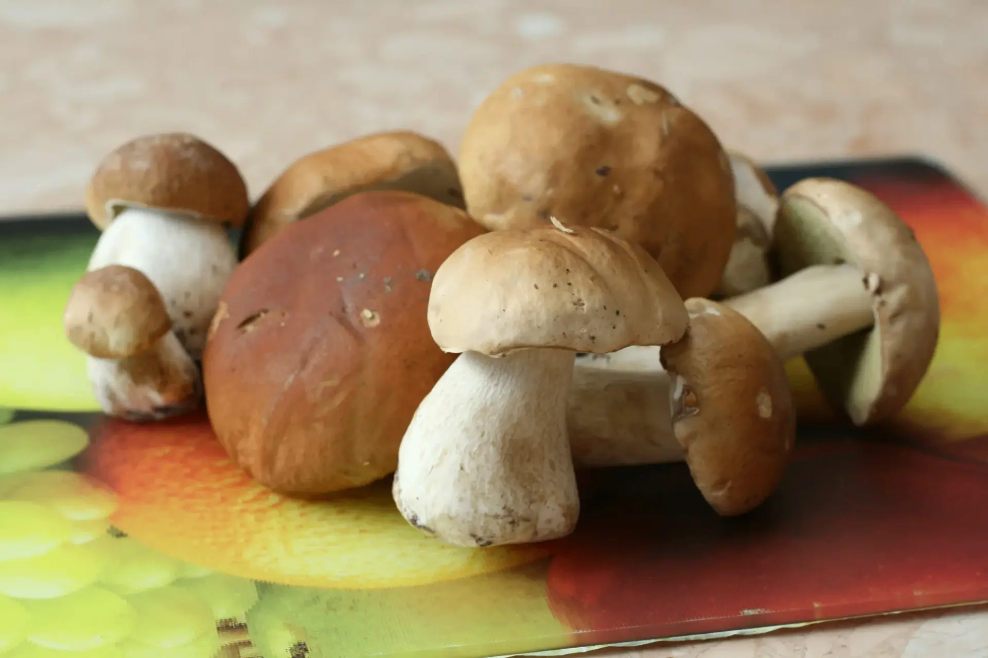 Найти и собрать грибы 🍄‍🟫 – только половина дела. Не менее важно правильно их обработ...