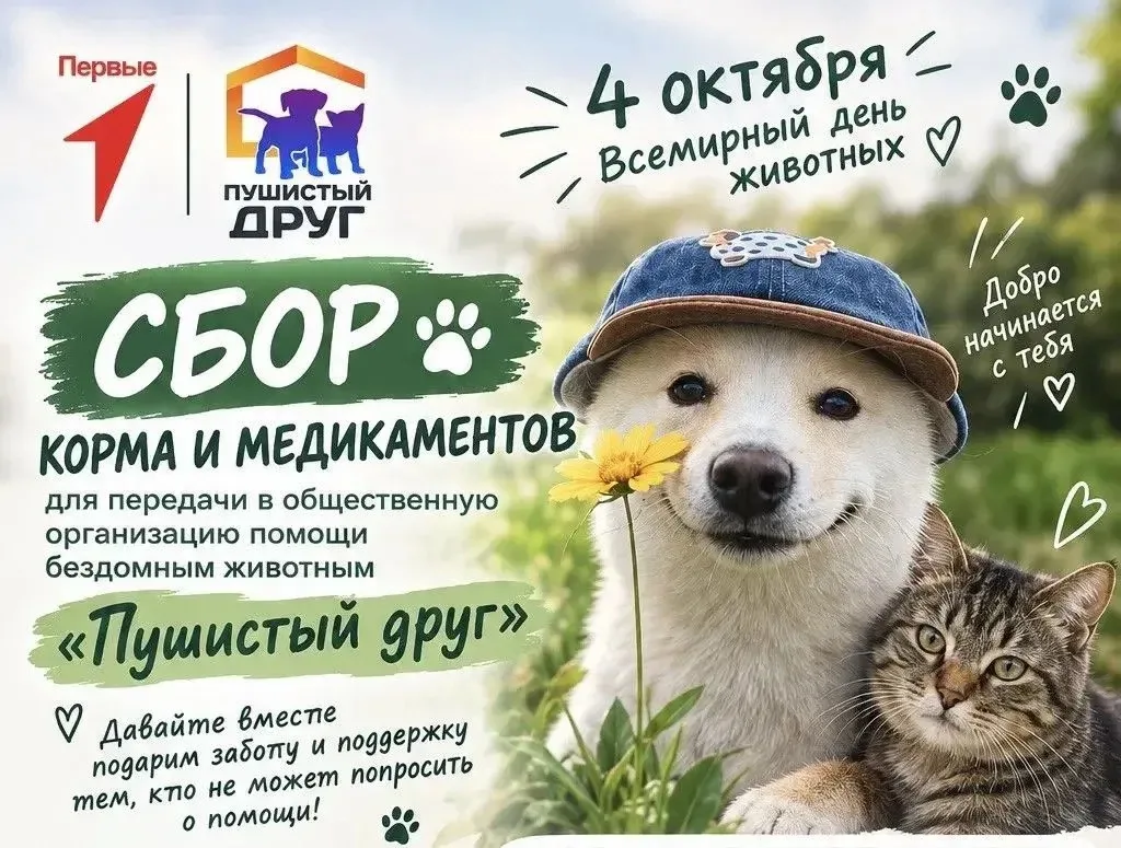 Всем добрый день ! Наша школа принимает участие в акции и хочет поддержать хвостатых!)