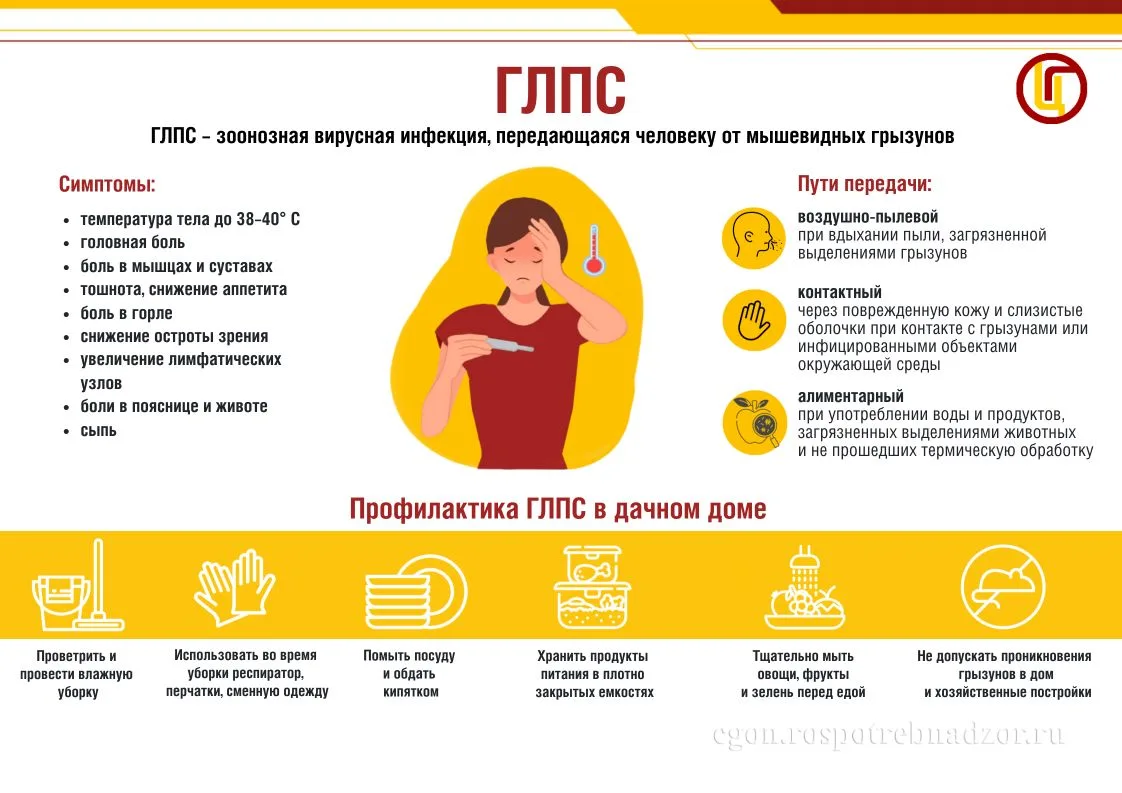 🐀Дачный сезон и ГЛПС: что нужно знать для защиты здоровья
