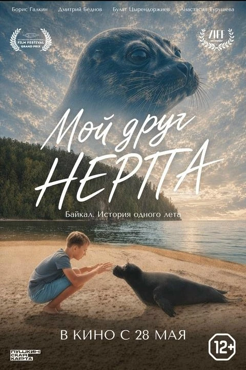 "Мой друг нерпа"- семейное кино для души и сердца, где звучат