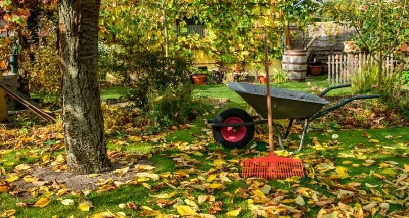 🍂 10 вещей, которые нельзя забыть сделать на даче до октября