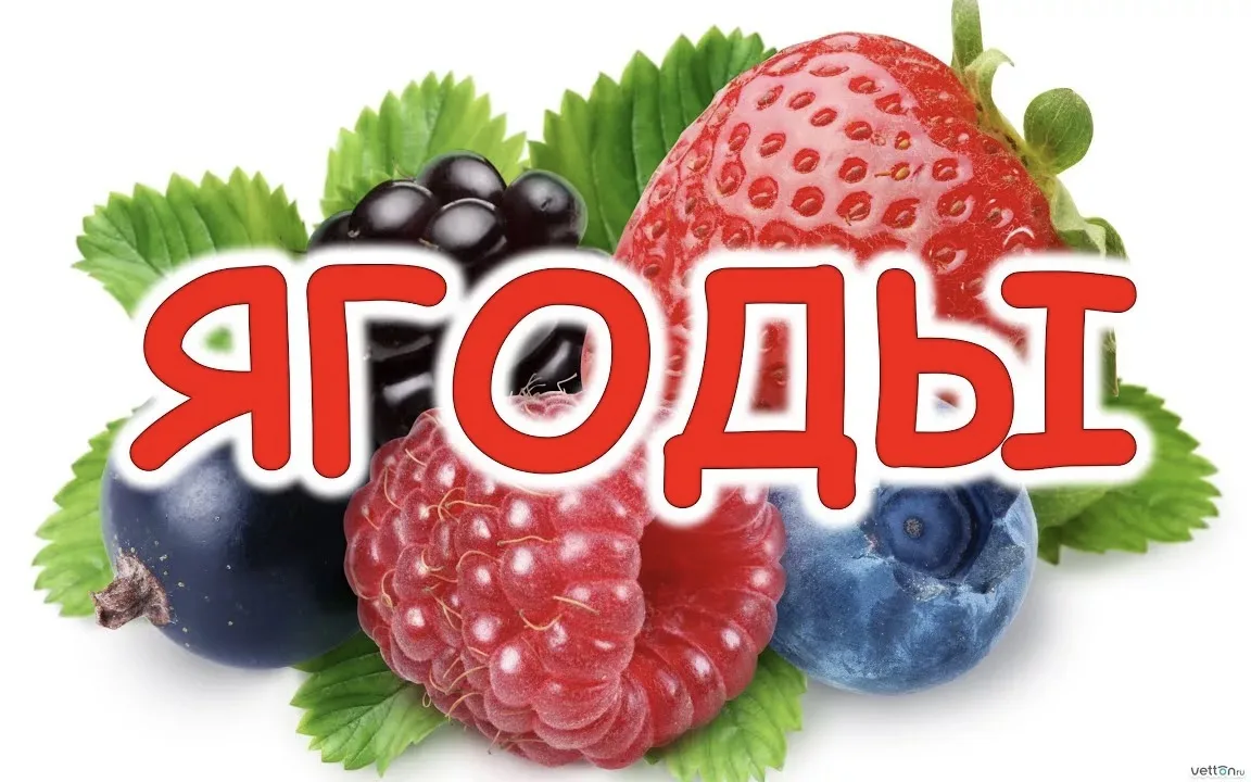 В детском саду прошёл увлекательный тематический день, посвящённый любимым дарам лета -...