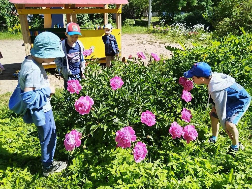 ☀️ Лето = открытия!
Группа "Солнышко" на прогулке не скучает:
🌿 Изучаем цветы и деревья (даже обычн