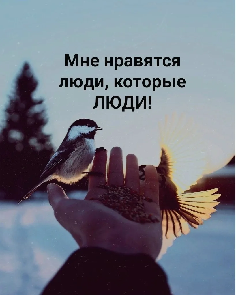 Цитаты жизни