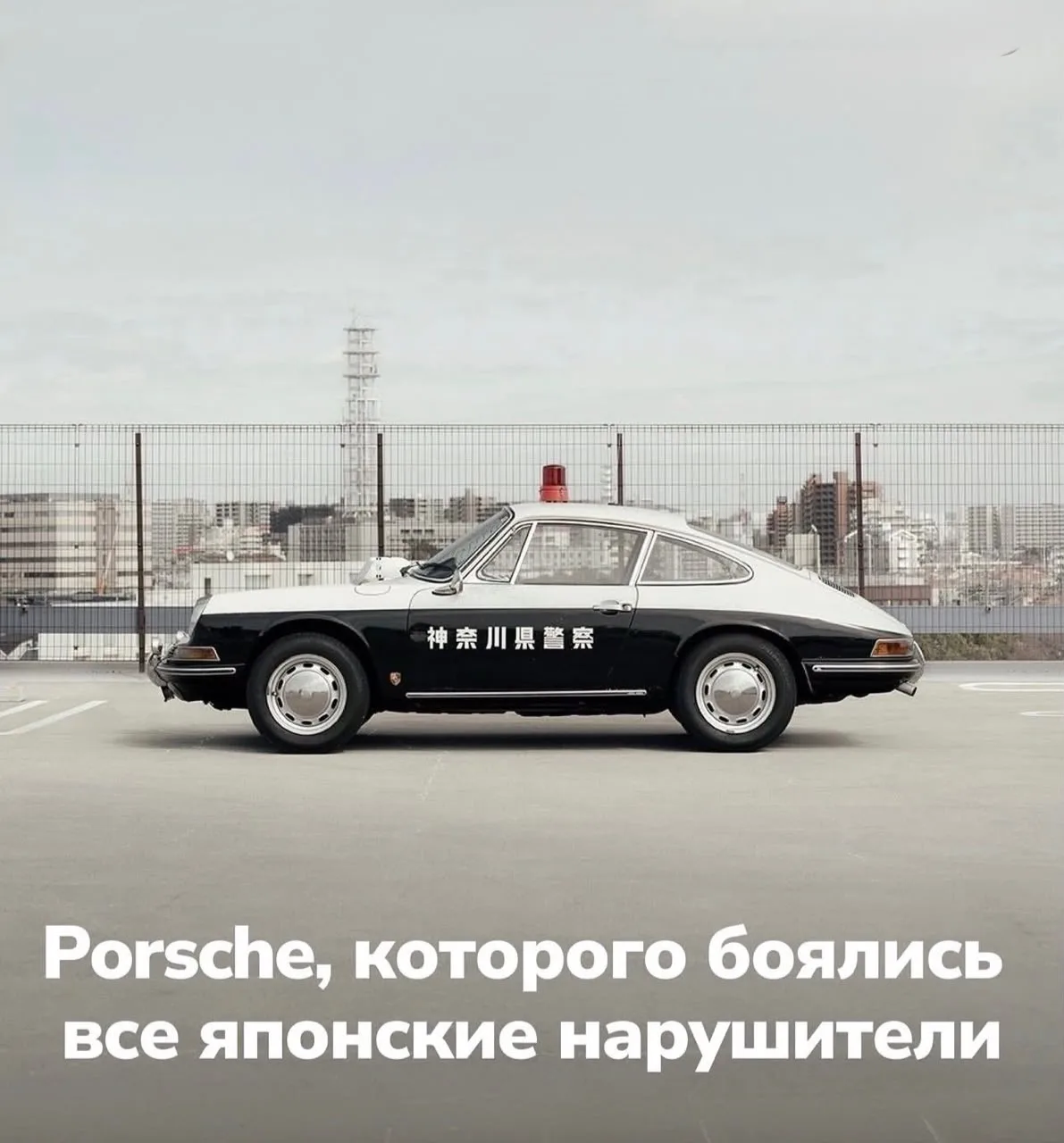 Скоро нашего тигра покажем ✊