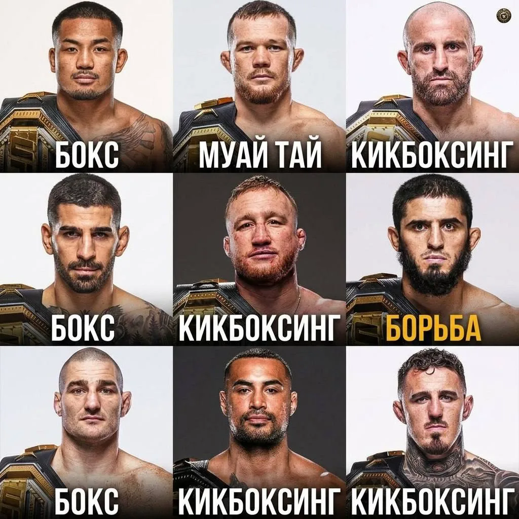🤯📊КАЖДЫЙ ДЕЙСТВУЮЩИЙ ЧЕМПИОН UFC СЕЙЧАС — УДАРНИК... КРОМЕ ИСЛАМА  Статистика говорит сама за себя: 