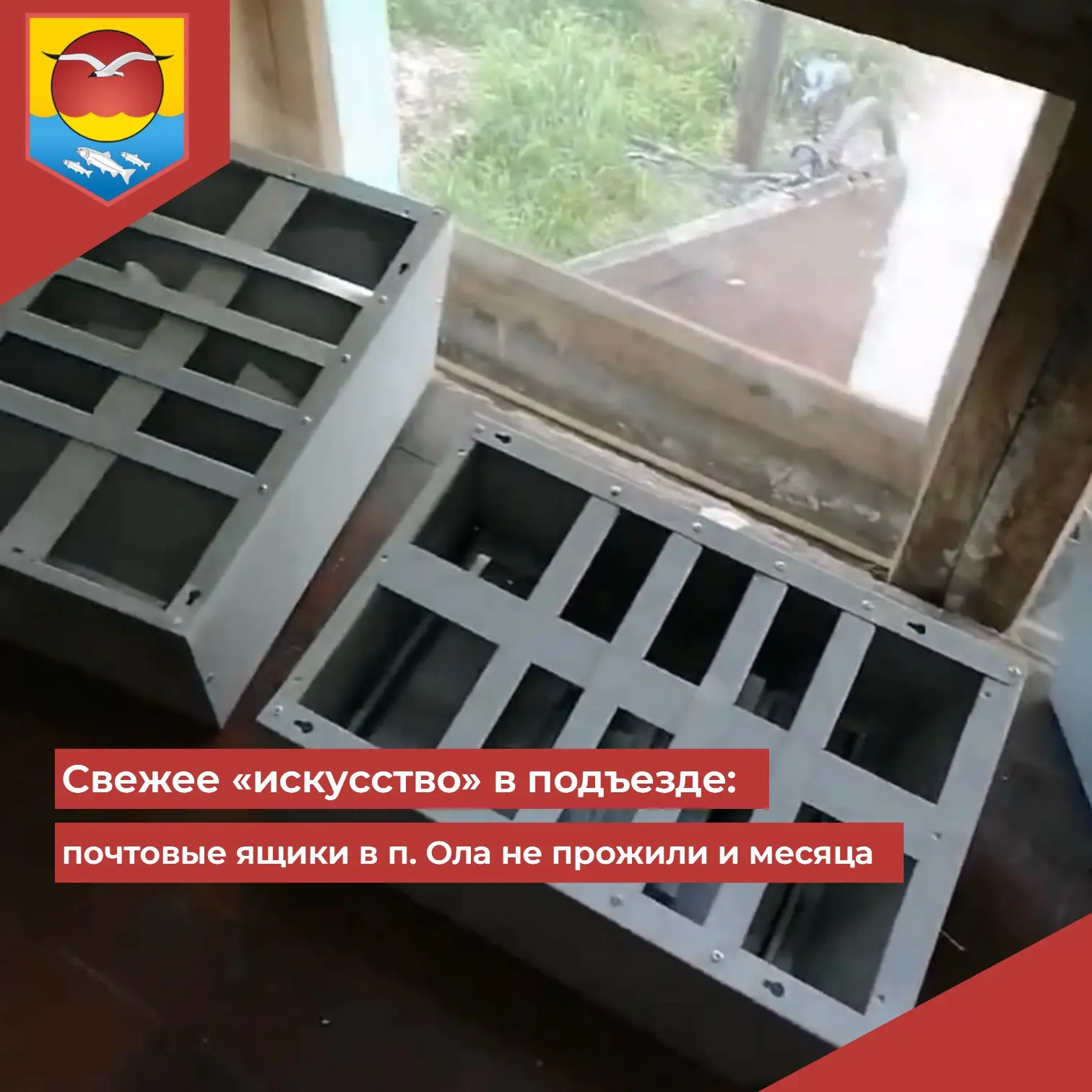 В местных пабликах разошлось видео, которое вызывает только глухое раздражение. Обычный...