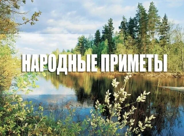 • Дождь в этот день предвещает затяжное ненастье и трудную уборку урожая.  
• Ясный и знойный день —