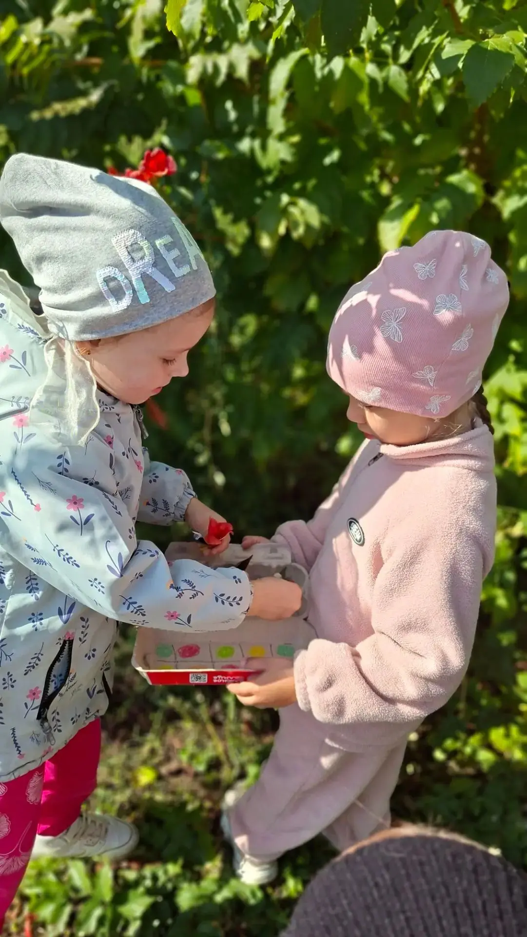 🍁 Осень — время открытий!  🍂