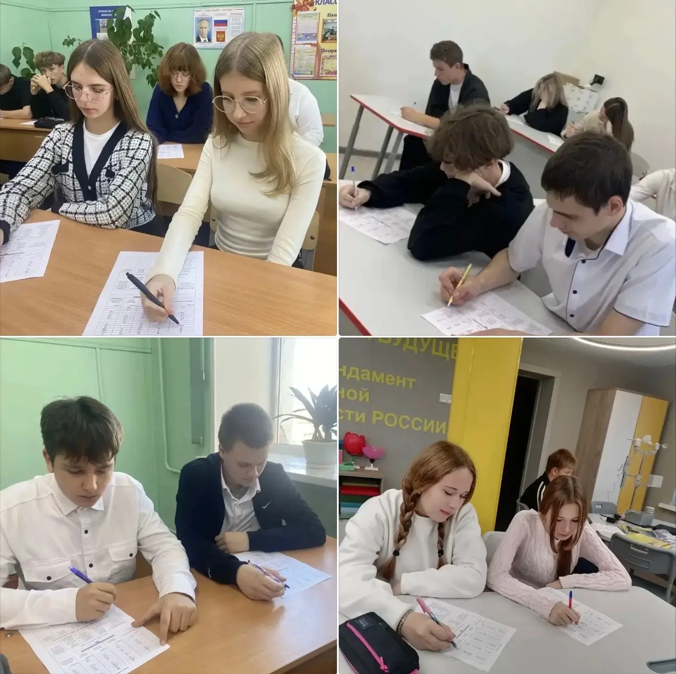 Шаг к профессии: в агротехклассах прошёл мониторинг профориентации. 🌱
