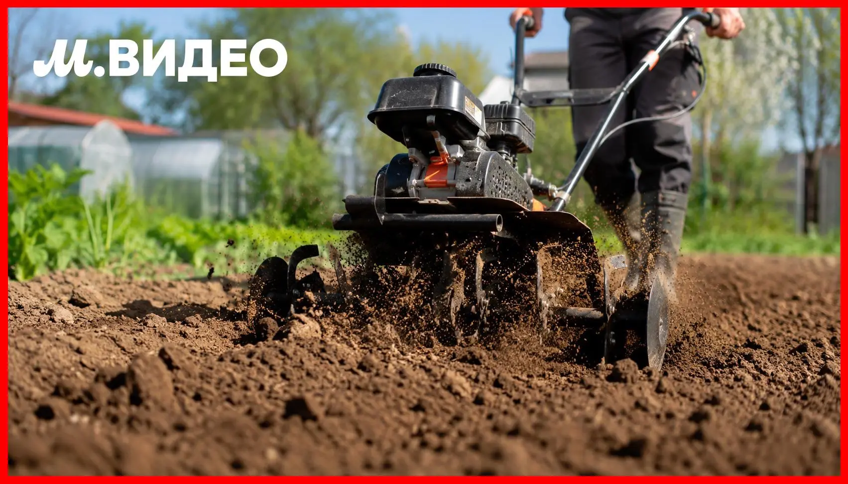 🌱 Культиватор — секрет идеального участка без лишних усилий!

Хороший культиватор помогает быстро п