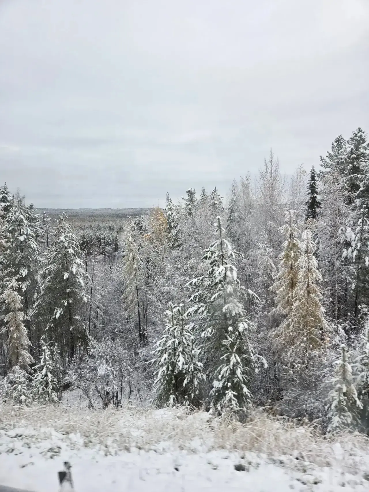 Растает или уже нет?)❄️