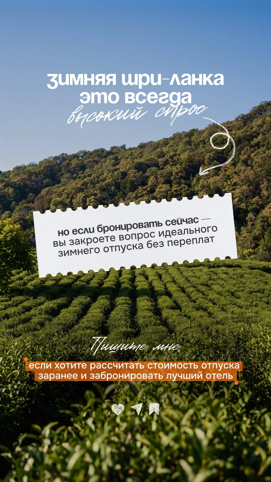 Зимняя Шри-Ланка — это всегда высокий спрос 🇱🇰
