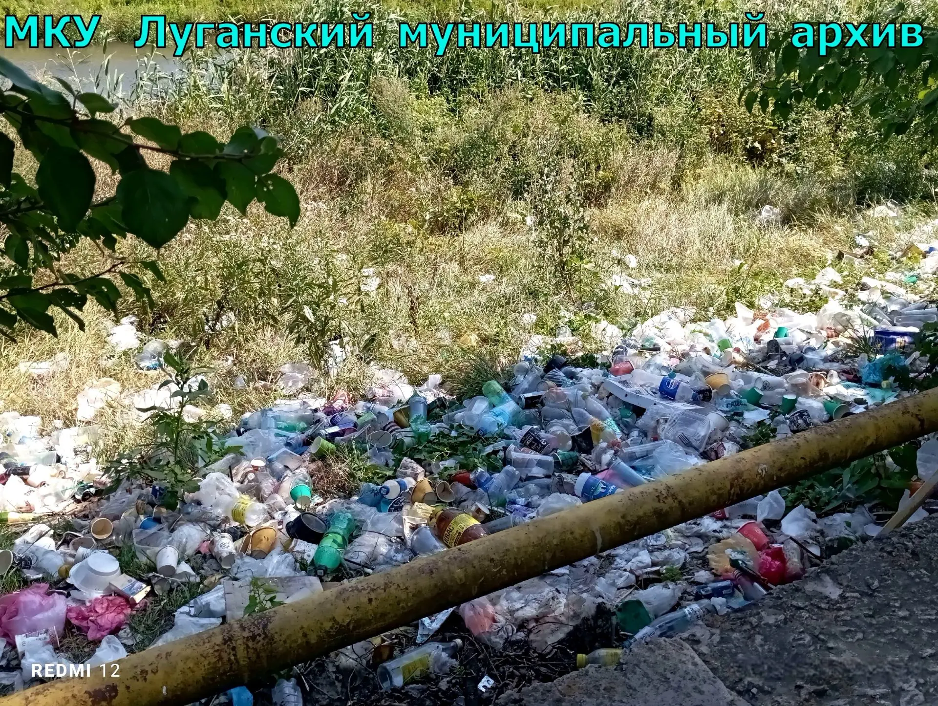 31 Июля 2026 года МКУ «Луганский муниципальный архив» принял участие в субботнике