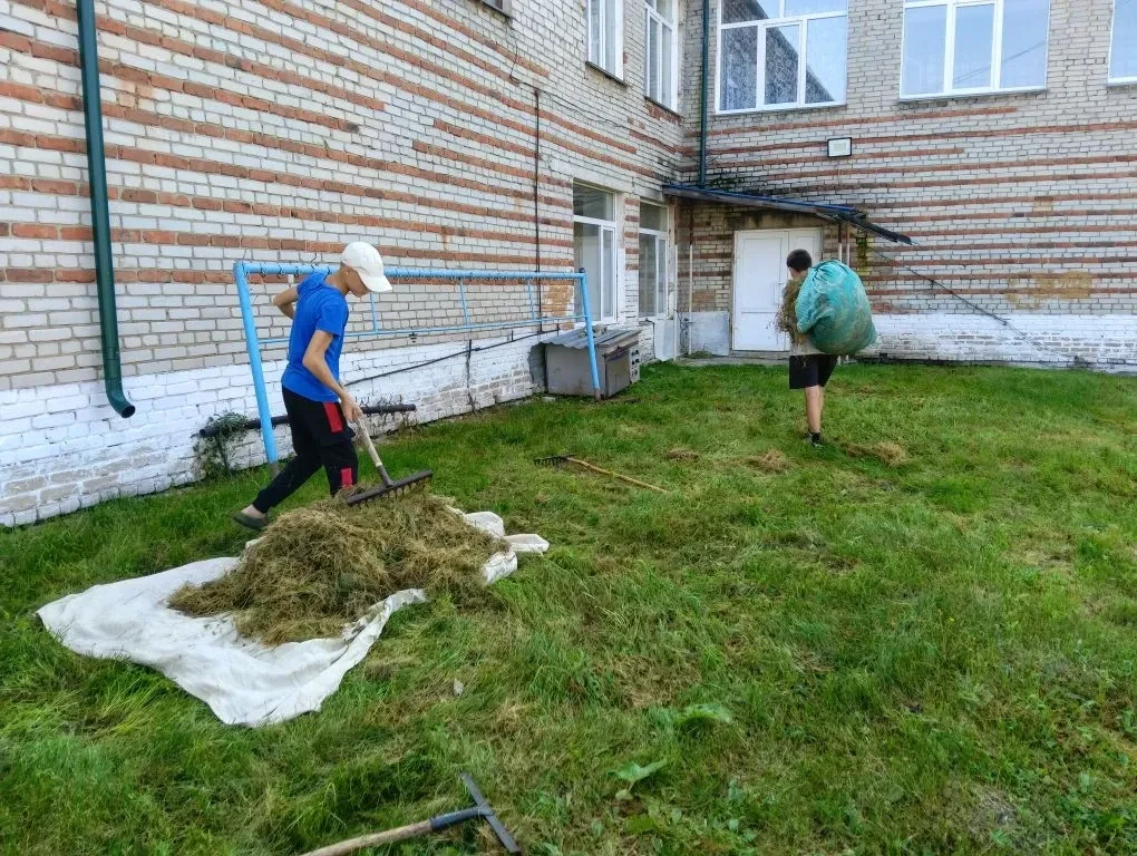 💪 Мы не боимся работы — 7 класс в деле! 💪Мы были на трудовой практике: собирали скоше...