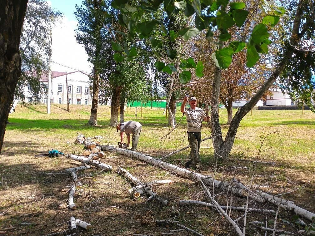 Наводим порядок вместе: новости благоустройства нашего поселения 🌳Лето — время активны...