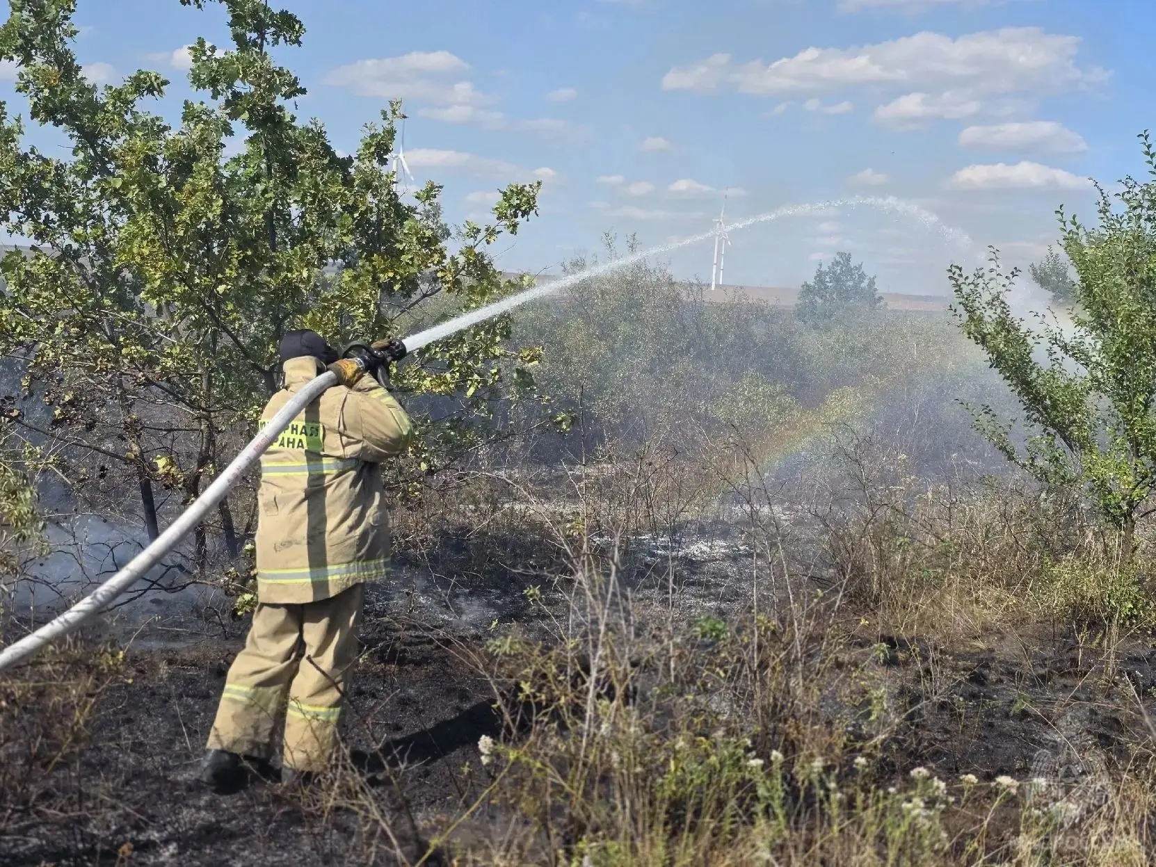 Спасатели МЧС России отстояли село в Краснодонском округе от масштабного пожара