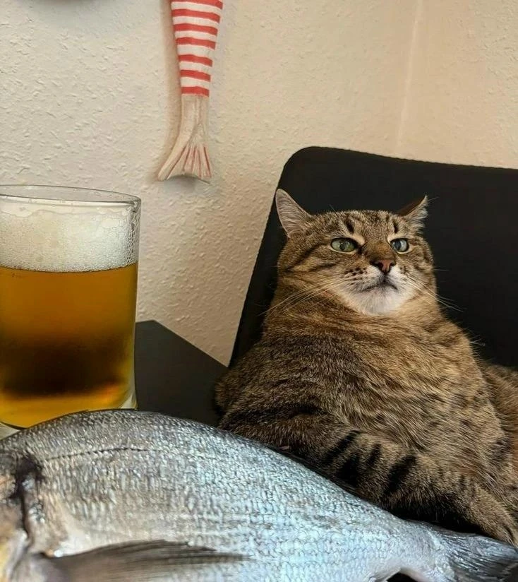 🍻 Сегодня День распития пива или День пивопития