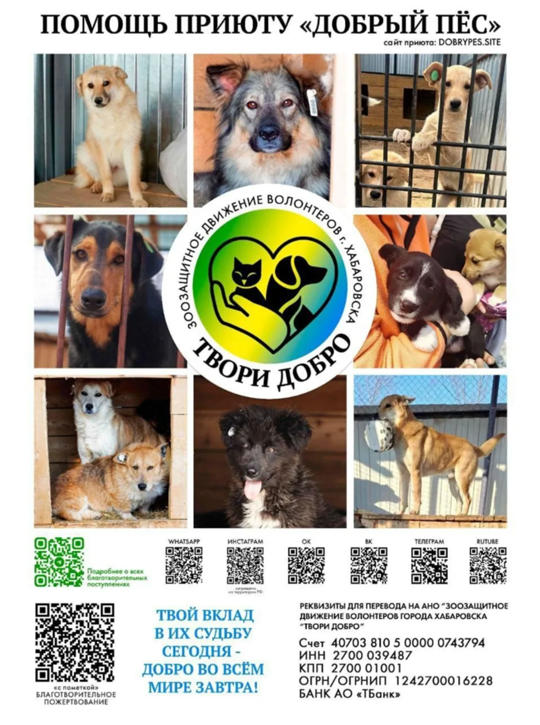 Поможем вместе приюту «Добрый пёс»! 🐾