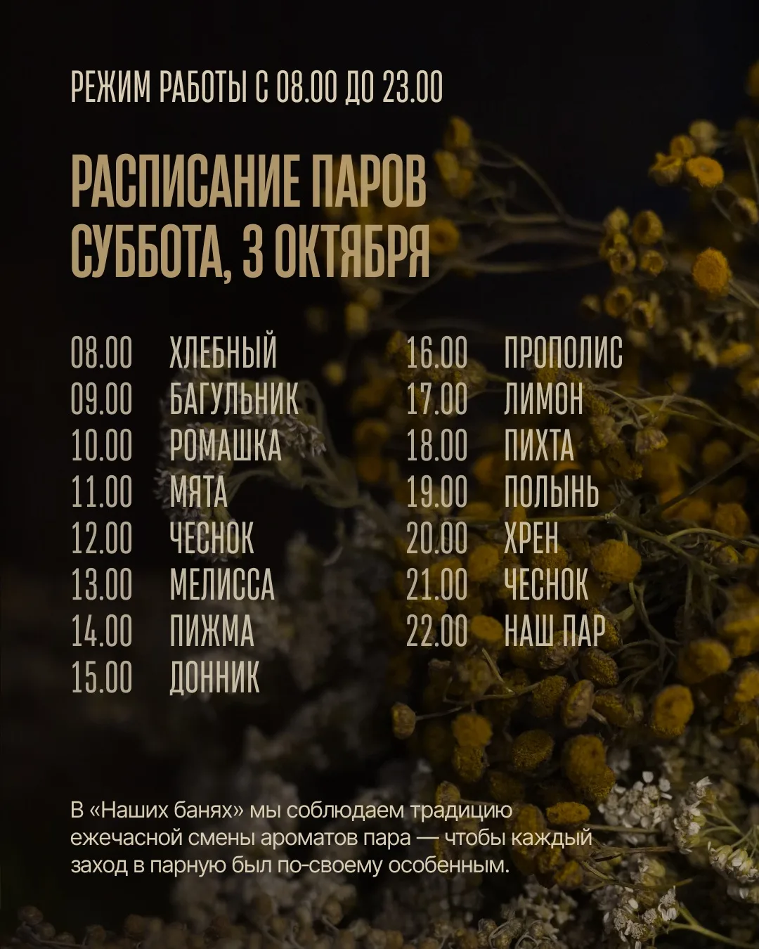 Суббота в Наших банях