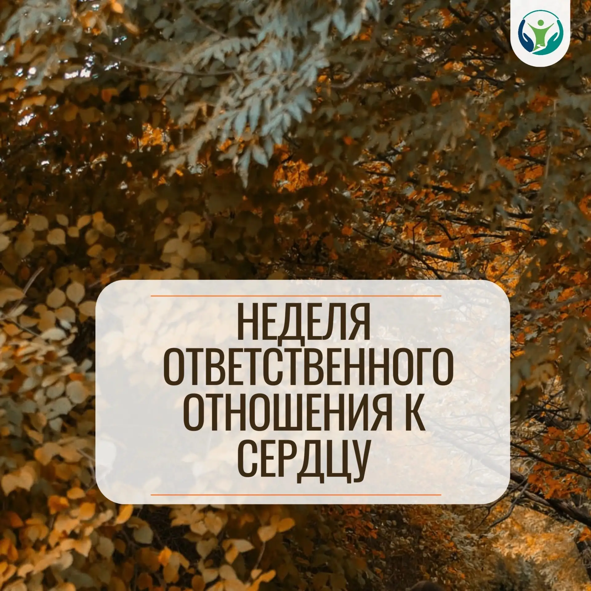 ❤ Неделя ответственного отношения к сердцу — начнём!