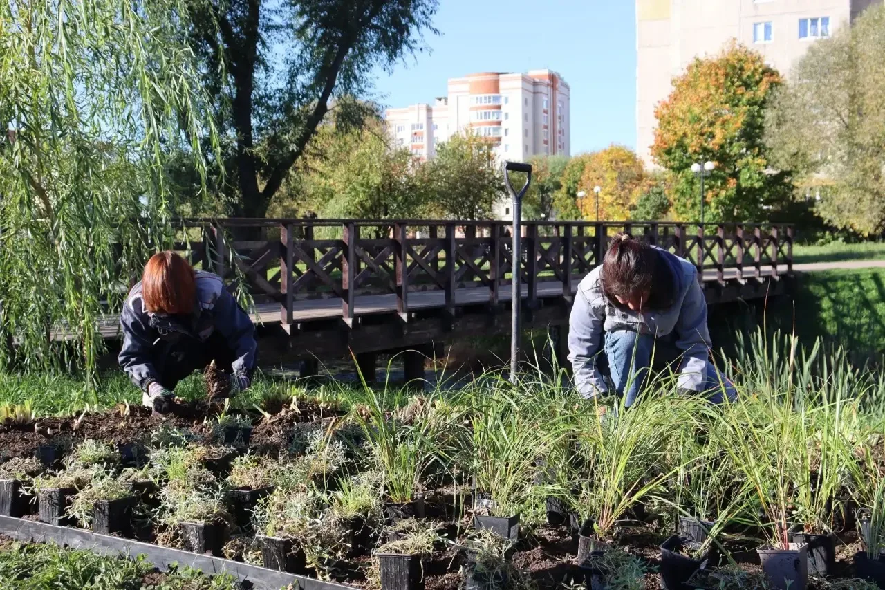 🌿 Сквер у Верхнего Красносельского пруда стал еще ярче!