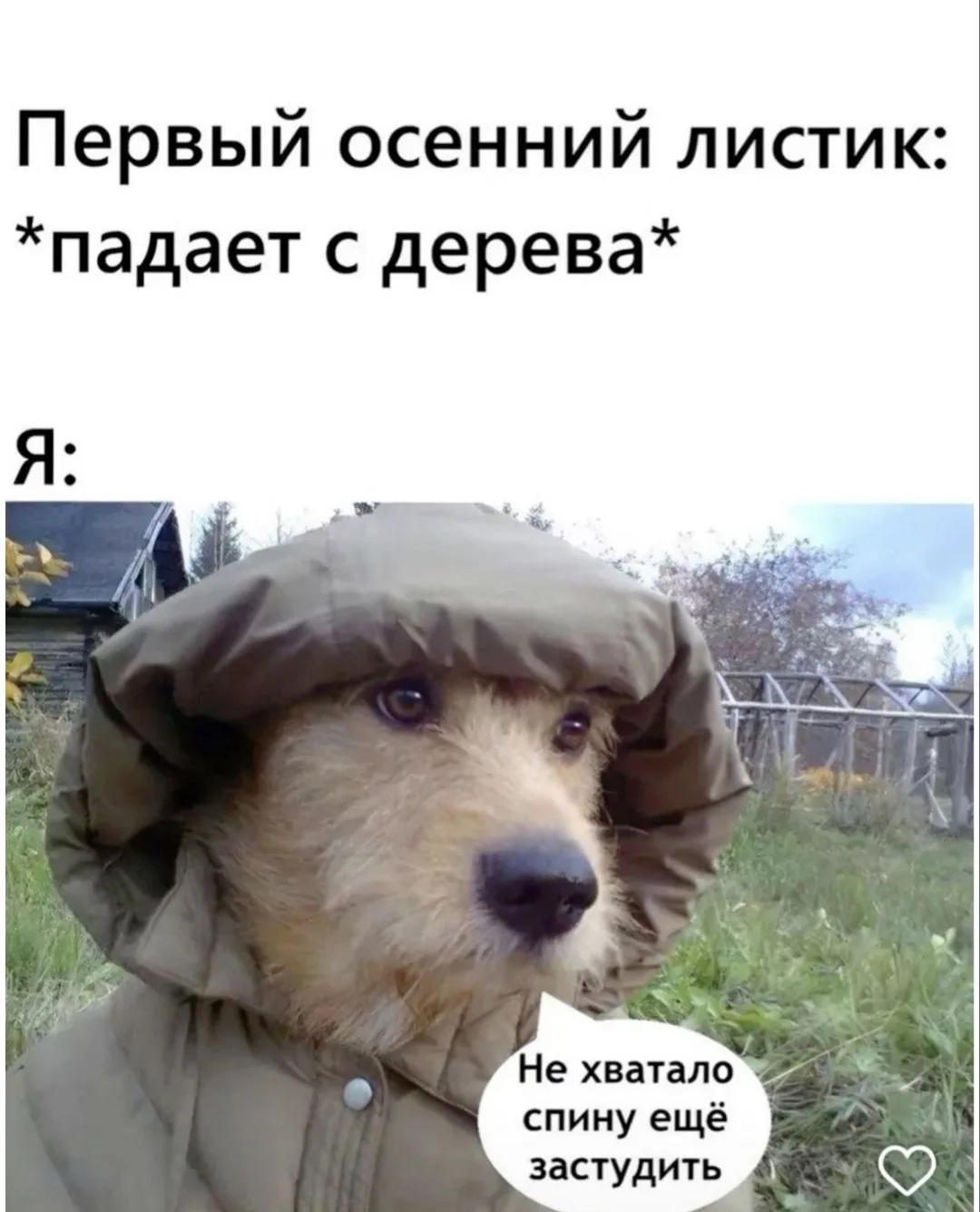 По счастливой случайности нашла картинку в тему!