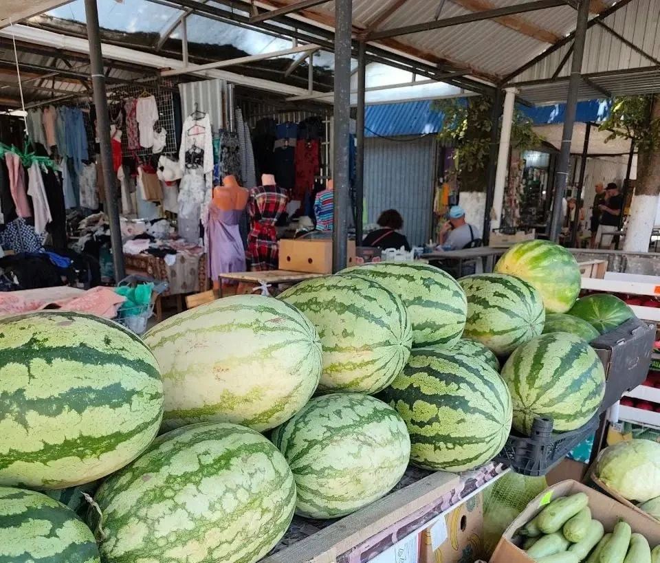 🍉 Арбузы в Новороссийске: где покупать и как не отравиться?
 
С августа и до начала октября арбуз я
