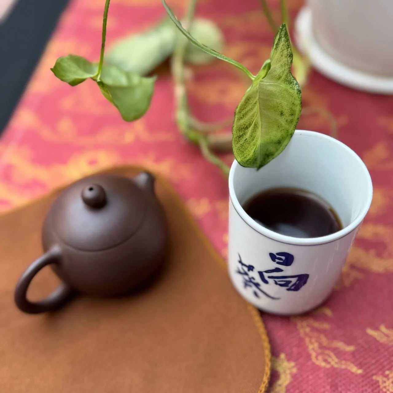 Афиша чайных встреч на этой неделе: 25.05 — 31.05 🌱