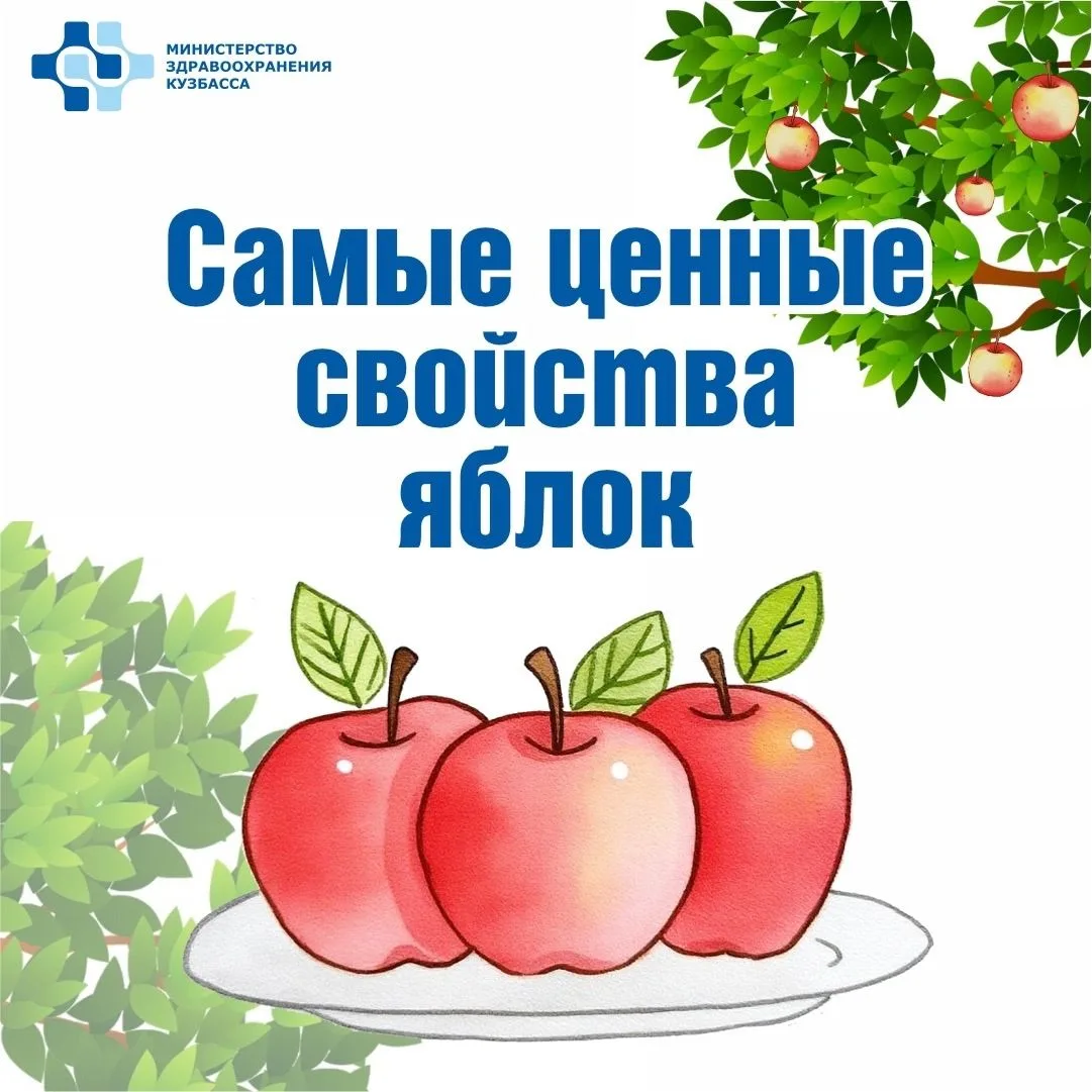 🍎 Сегодня — Яблочный Спас! Праздник, который напоминает о пользе этих фруктов для всег...
