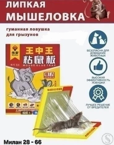 https://vk.com/photo-184814919_492942073