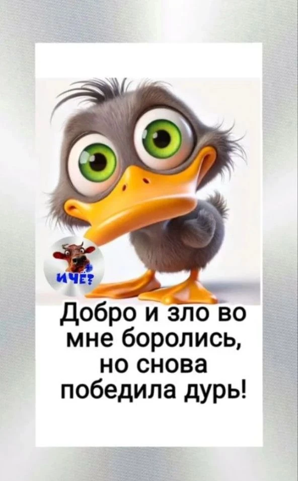 Золотая середина🤣