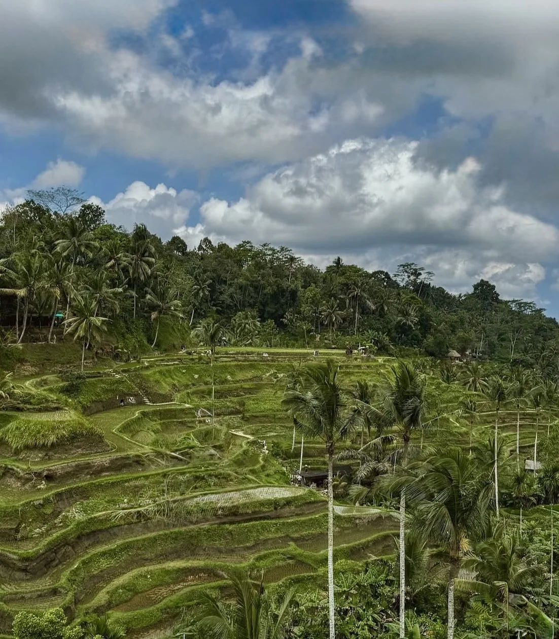 БАЛИ ЗОВЕТ: летим на остров богов😍🇮🇩
