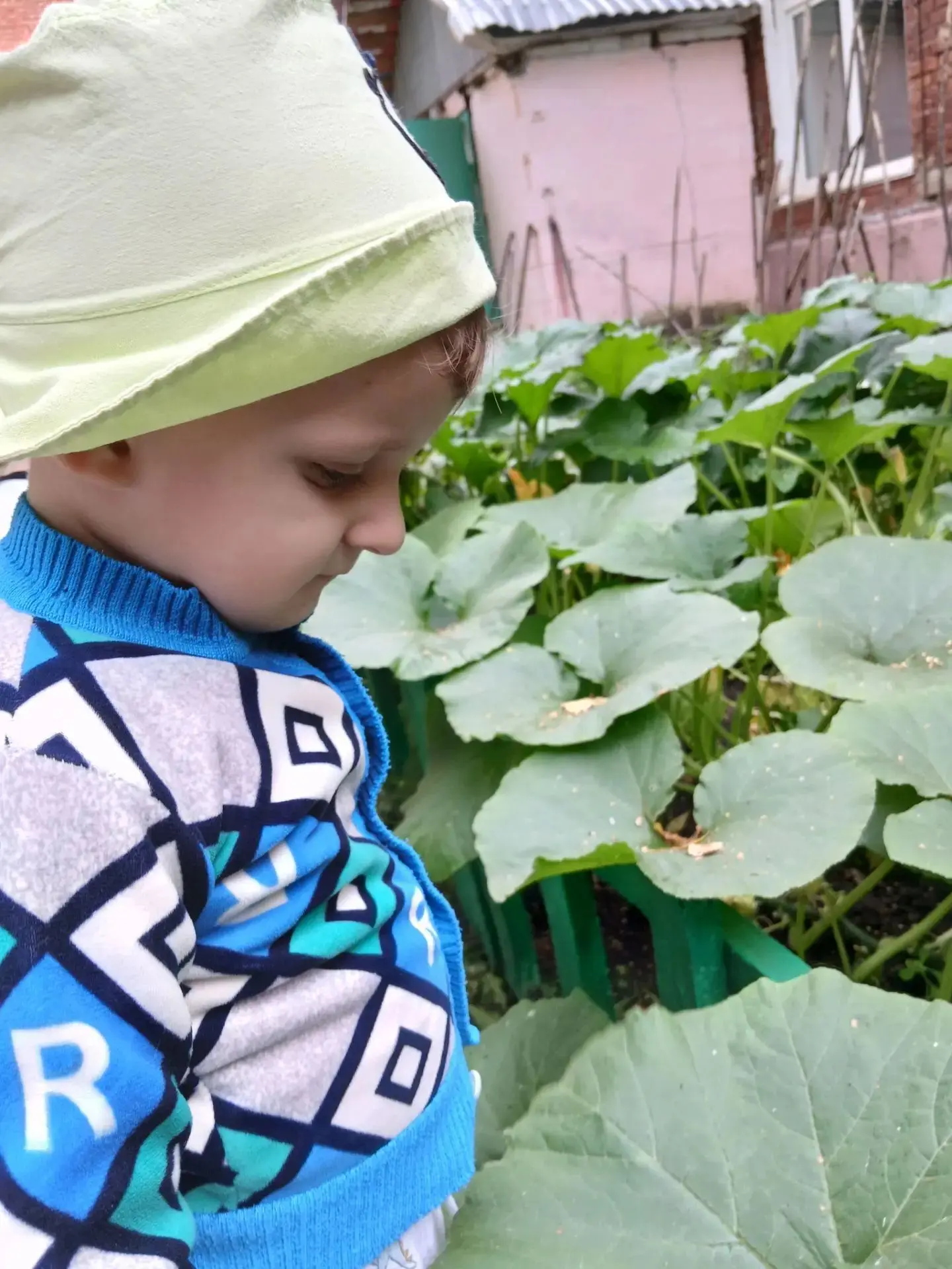 А наши «Солнышки» весь август вели наблюдение за огородом! 🌱