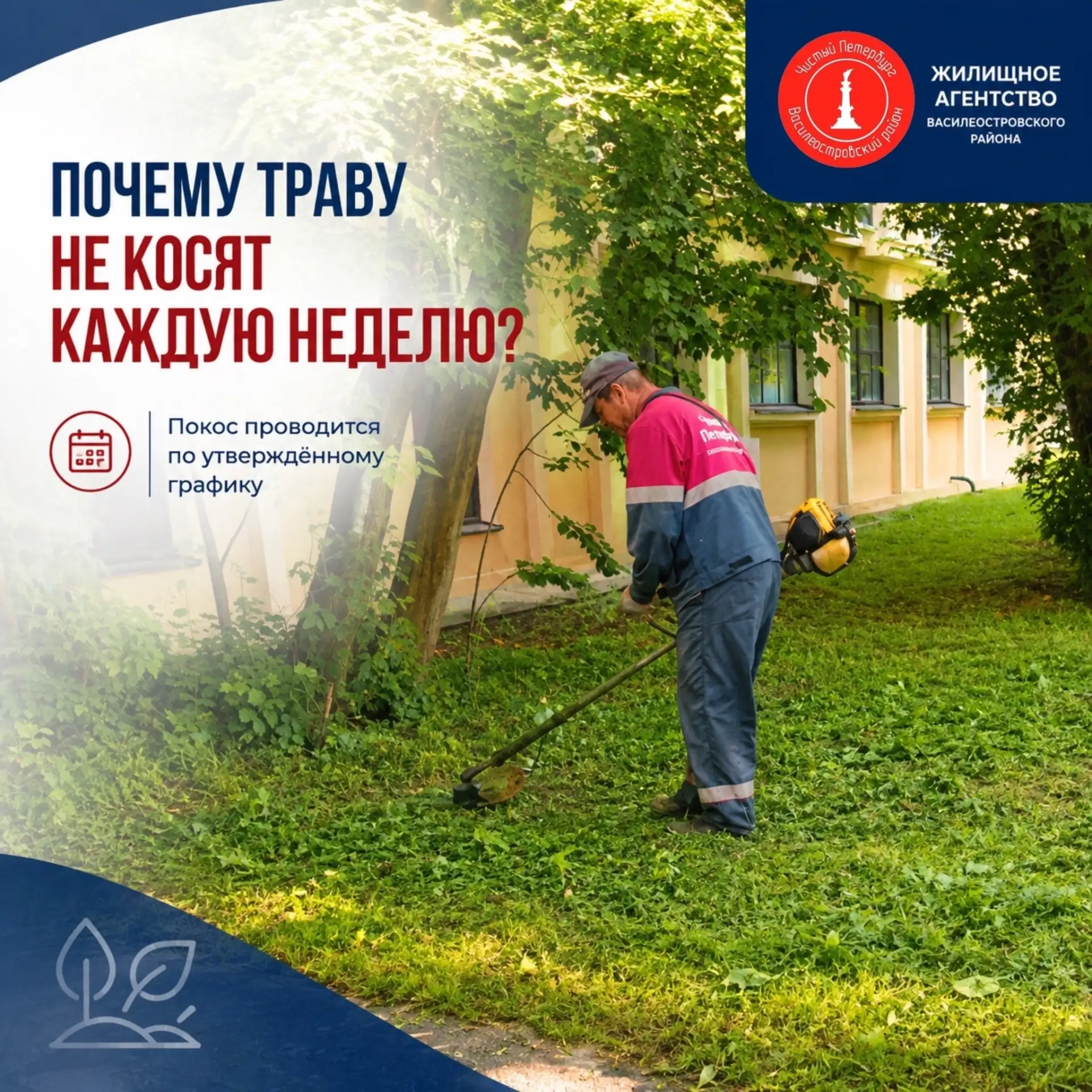 Получаем вопросы от жителей Василеостровского района о том, почему траву во дворах не к...