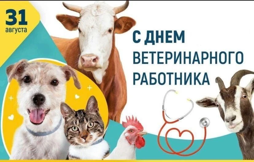 День ветеринарного работника, отмечаемый ежегодно 31 августа, появился в России в 2011 ...
